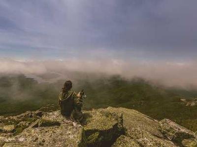 Early results illustration