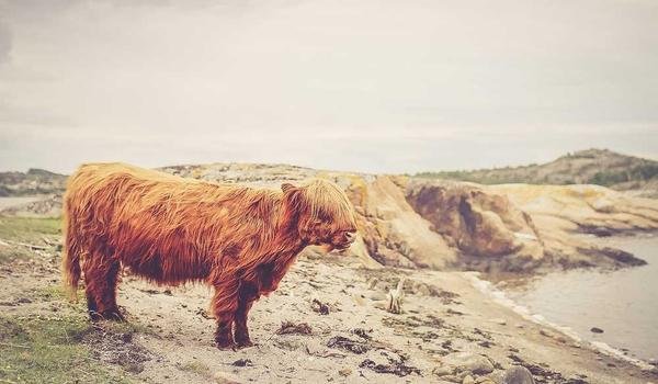 Abstract image representing body science